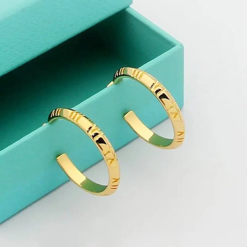 Bijoux Tiffany Boucles d'oreilles Accessoires
