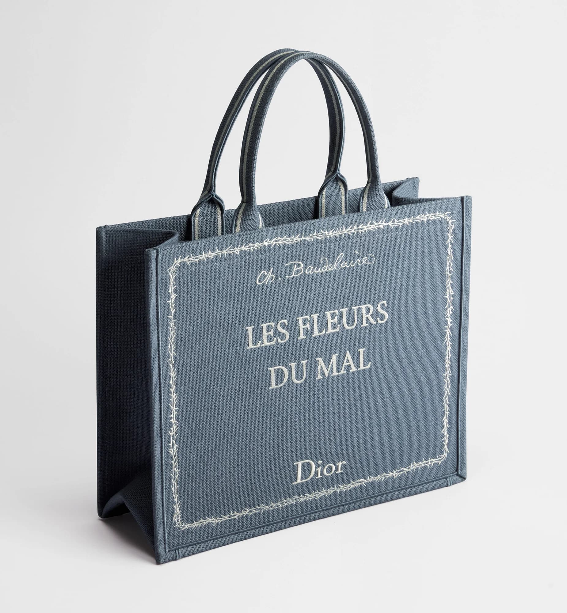 Sac Dior Book Tote Large