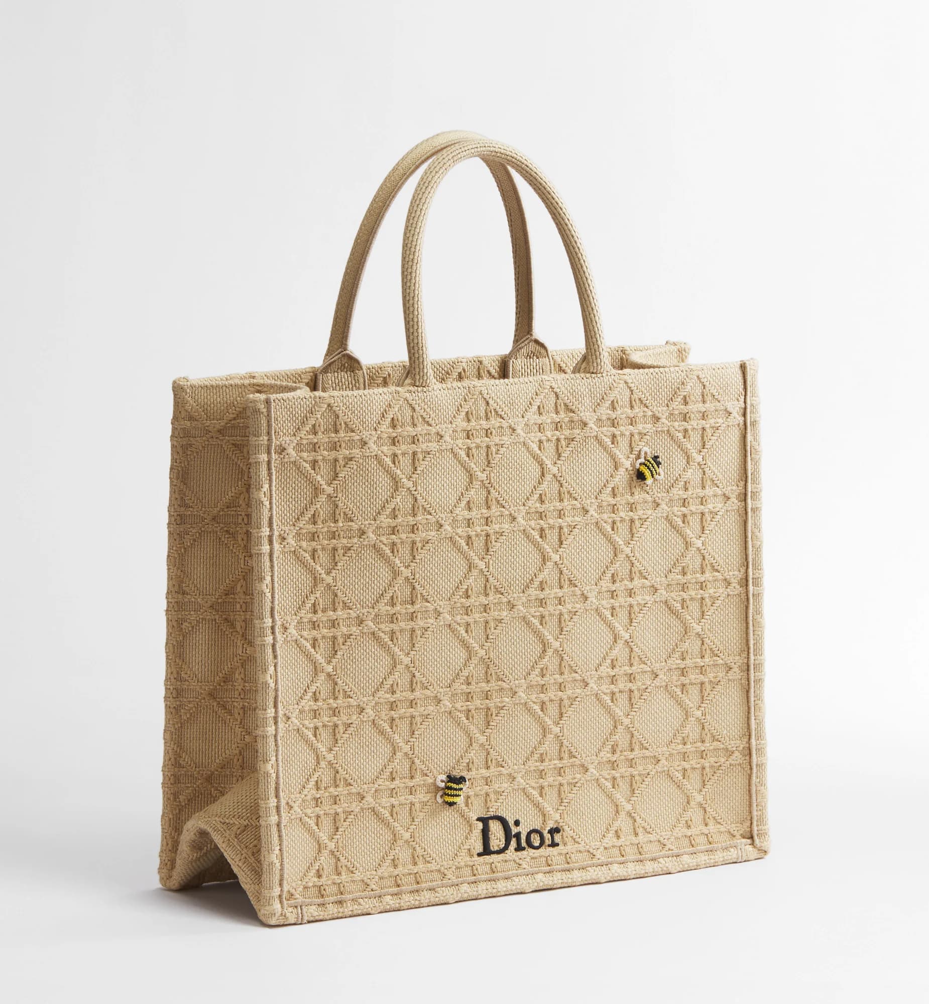 Sac Dior Book Tote Large