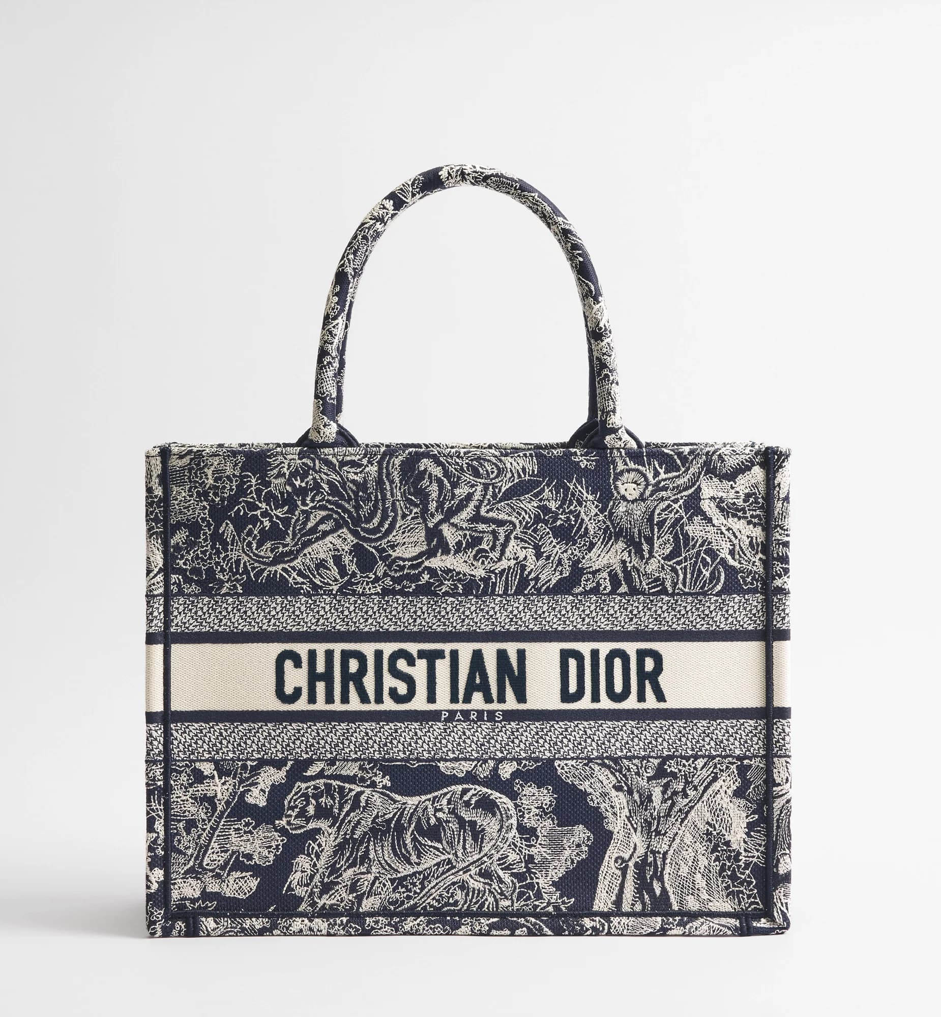 Sac Dior Book Tote Medium