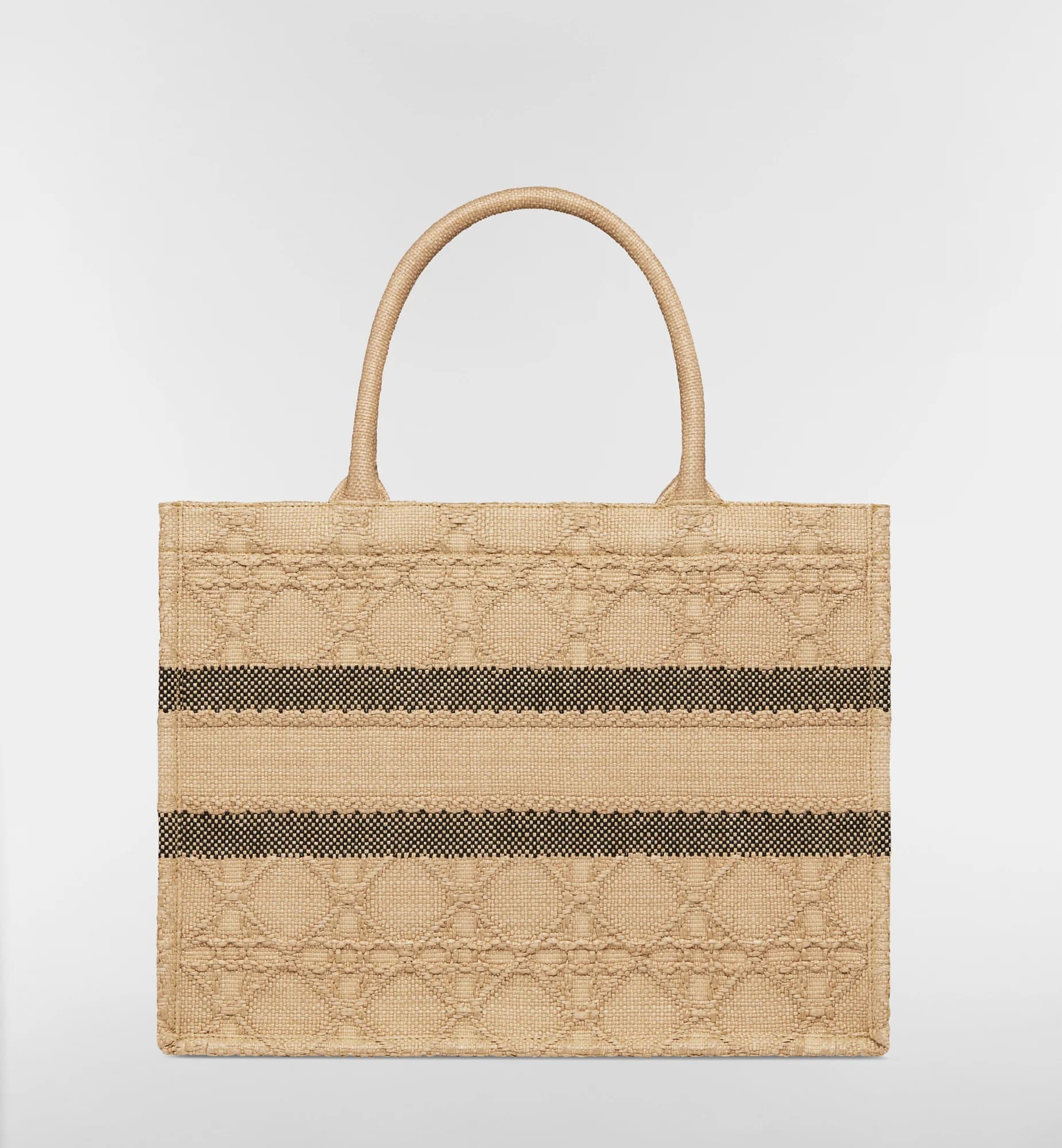 Sac Dior Book Tote Medium