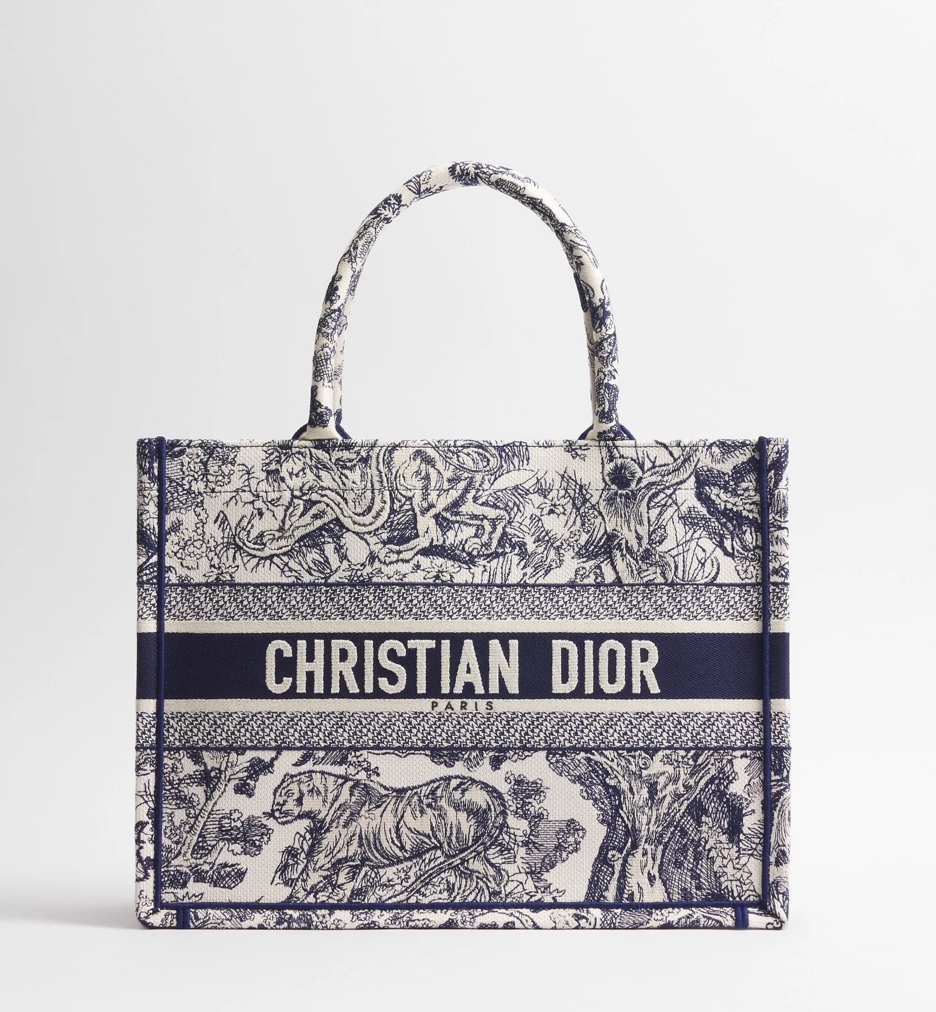 Sac Dior Book Tote Medium