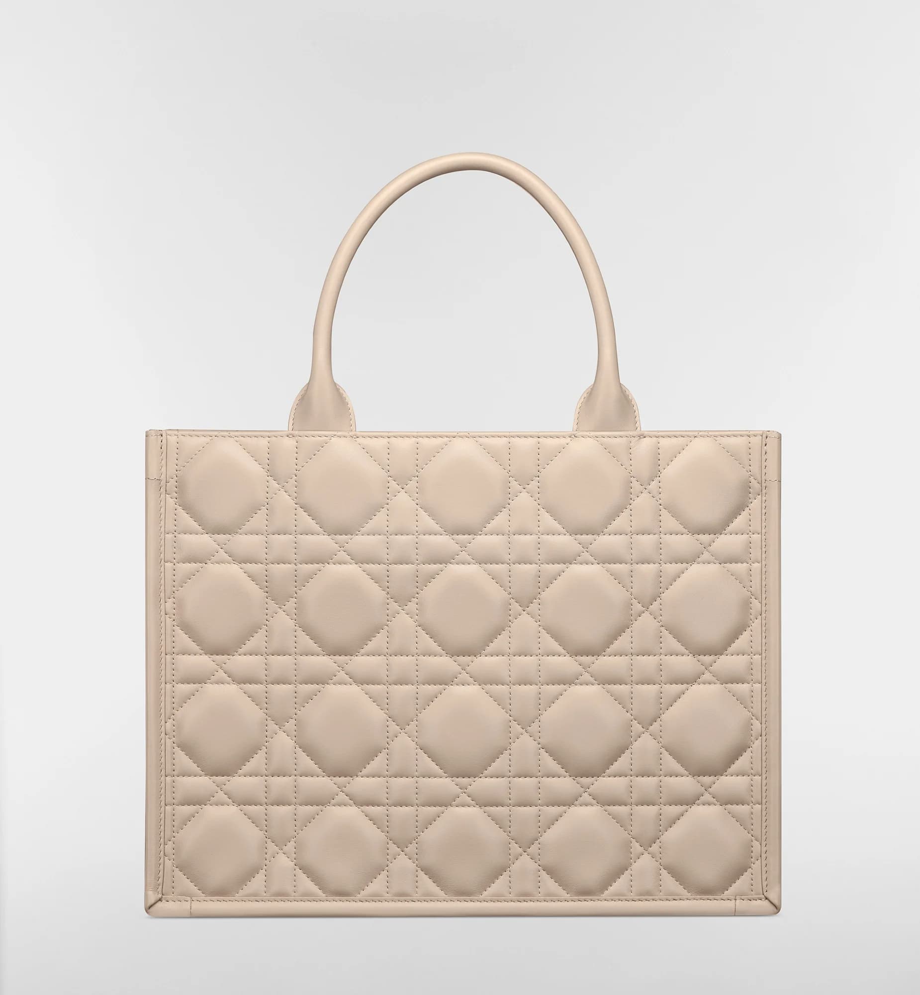 Sac Dior Book Tote Medium