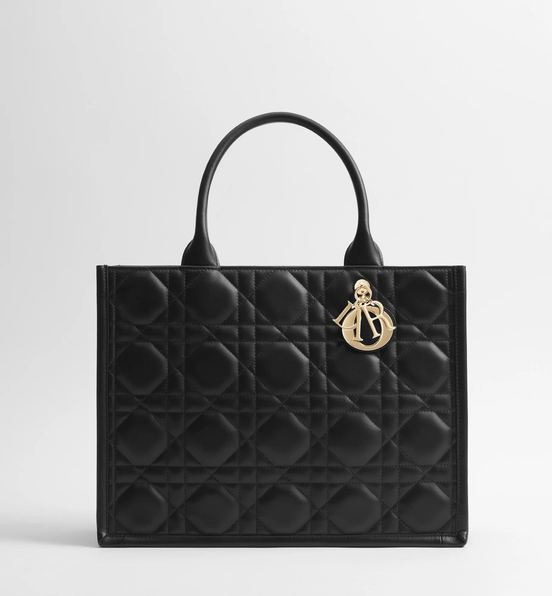 Sac Dior Book Tote Medium