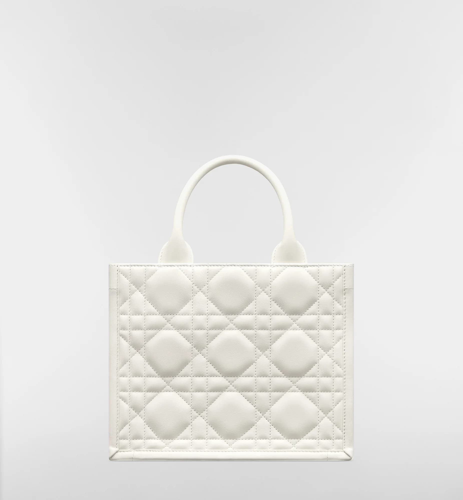 Sac Dior Book Tote Small