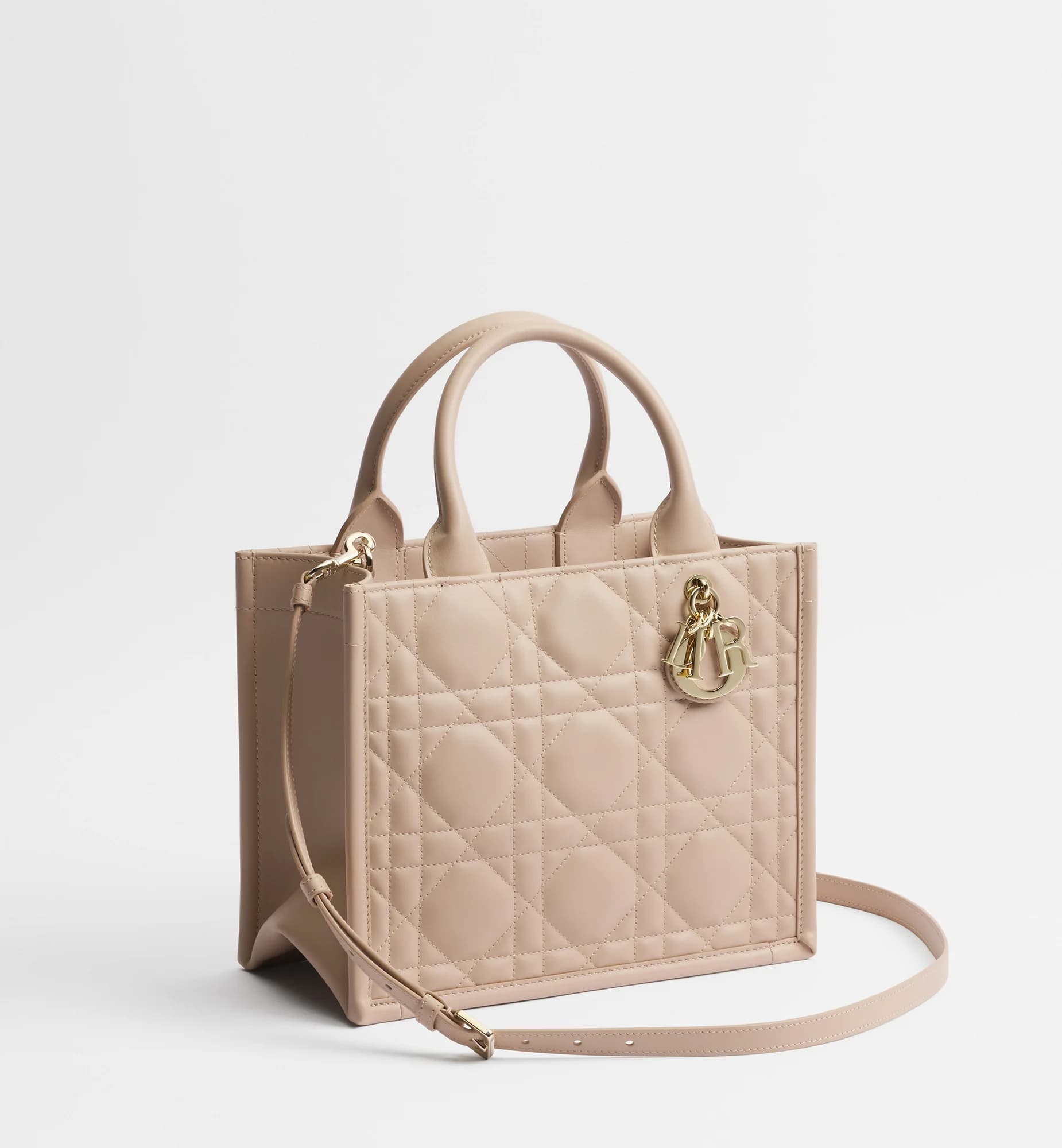 Sac Dior Book Tote Small