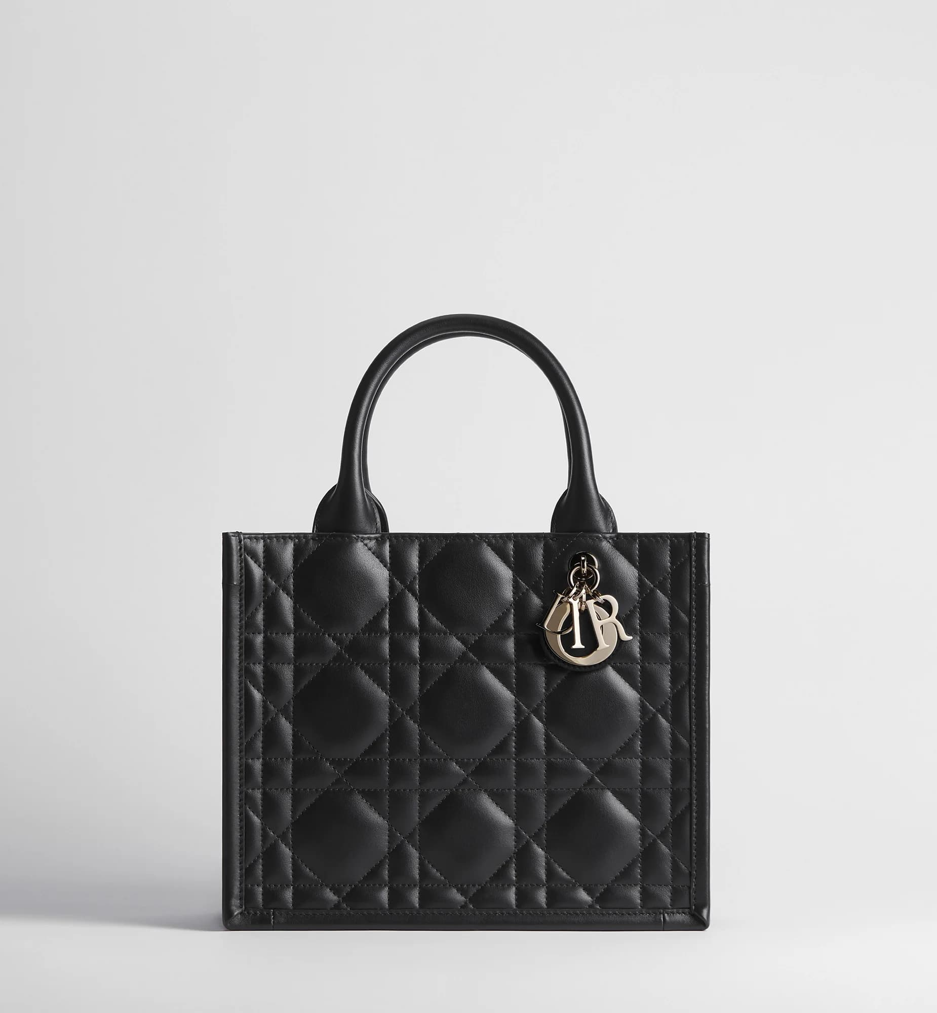 Sac Dior Book Tote Small