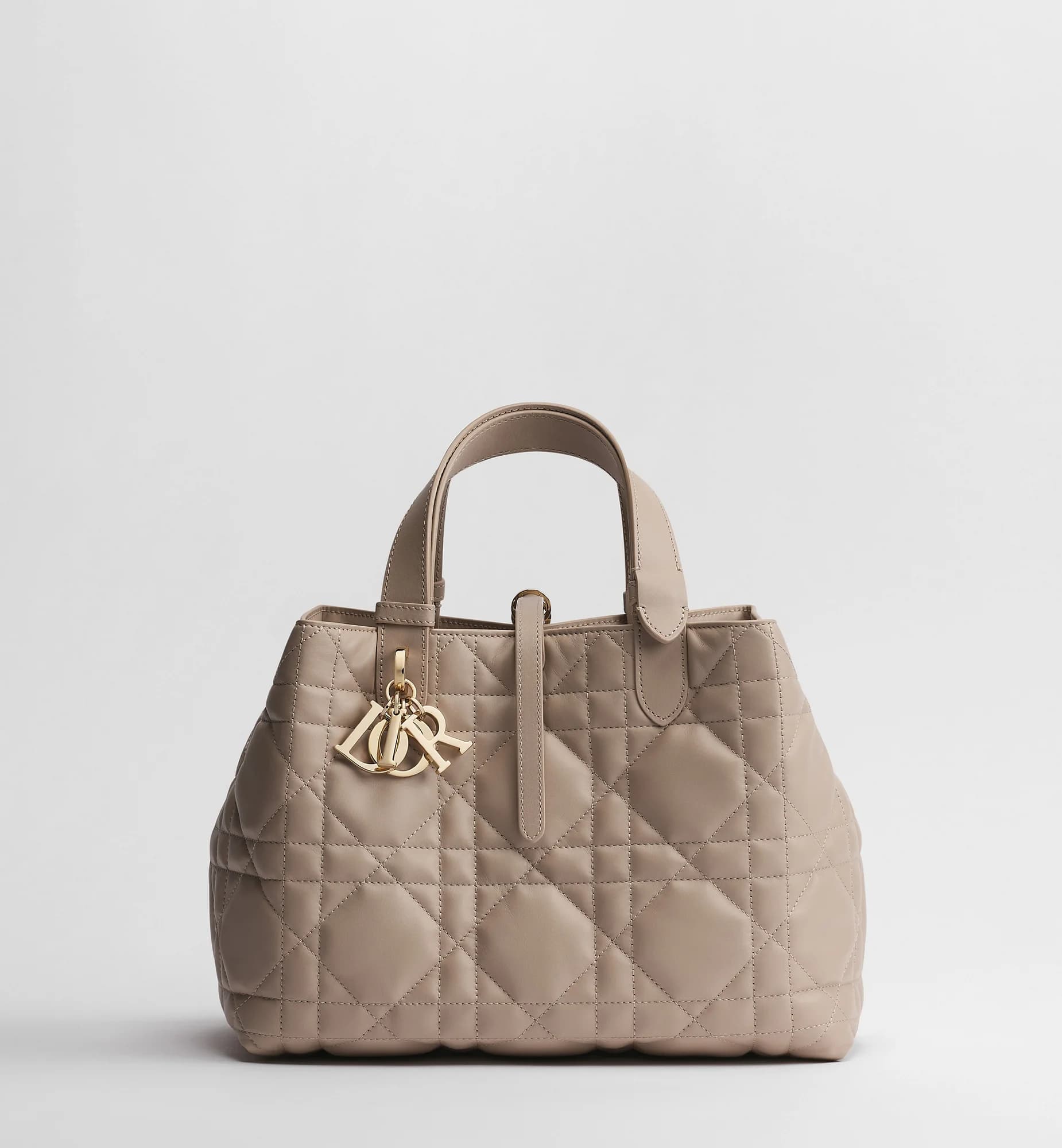 Sac Dior Toujours Medium