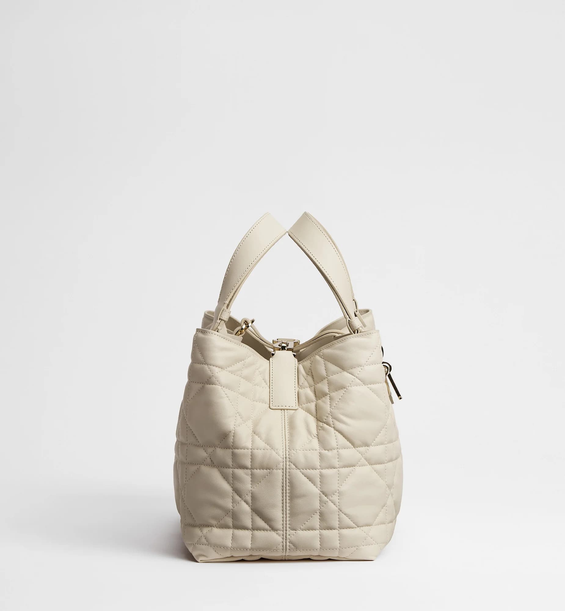 Sac Dior Toujours Medium