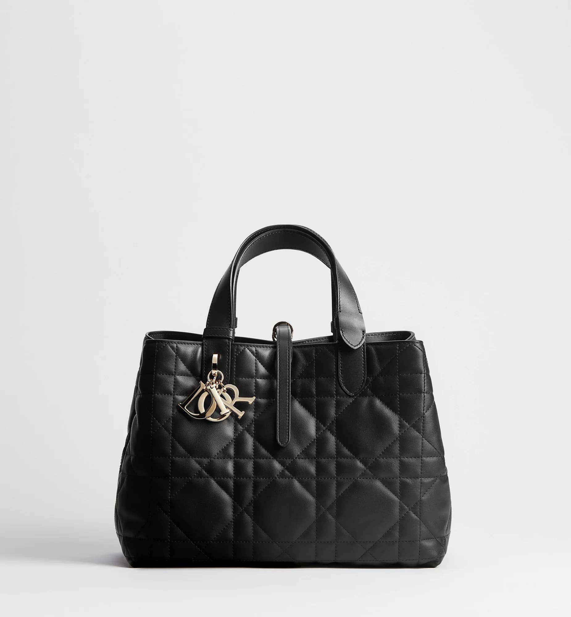Sac Dior Toujours Medium