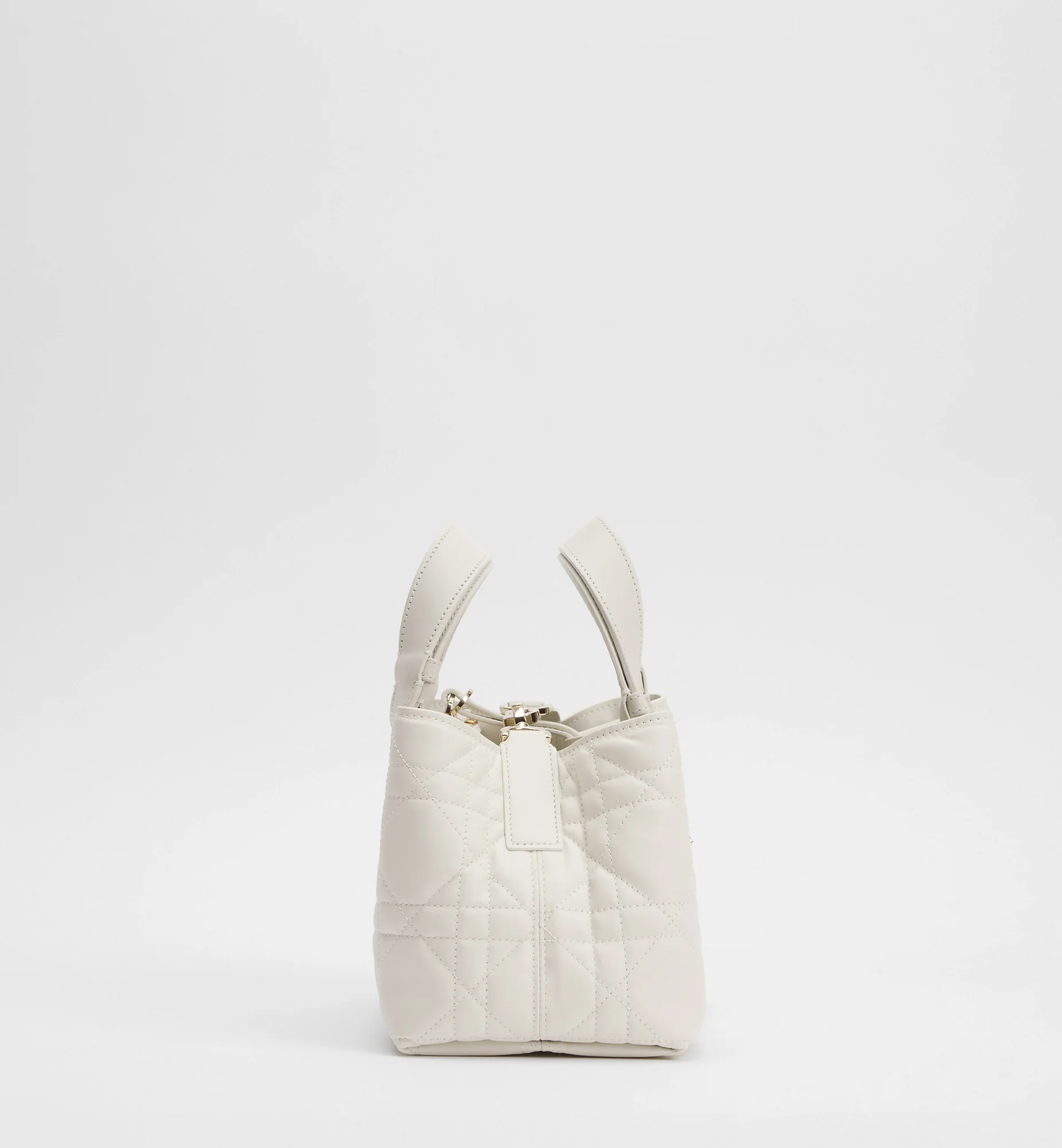 Sac Dior Toujours Small