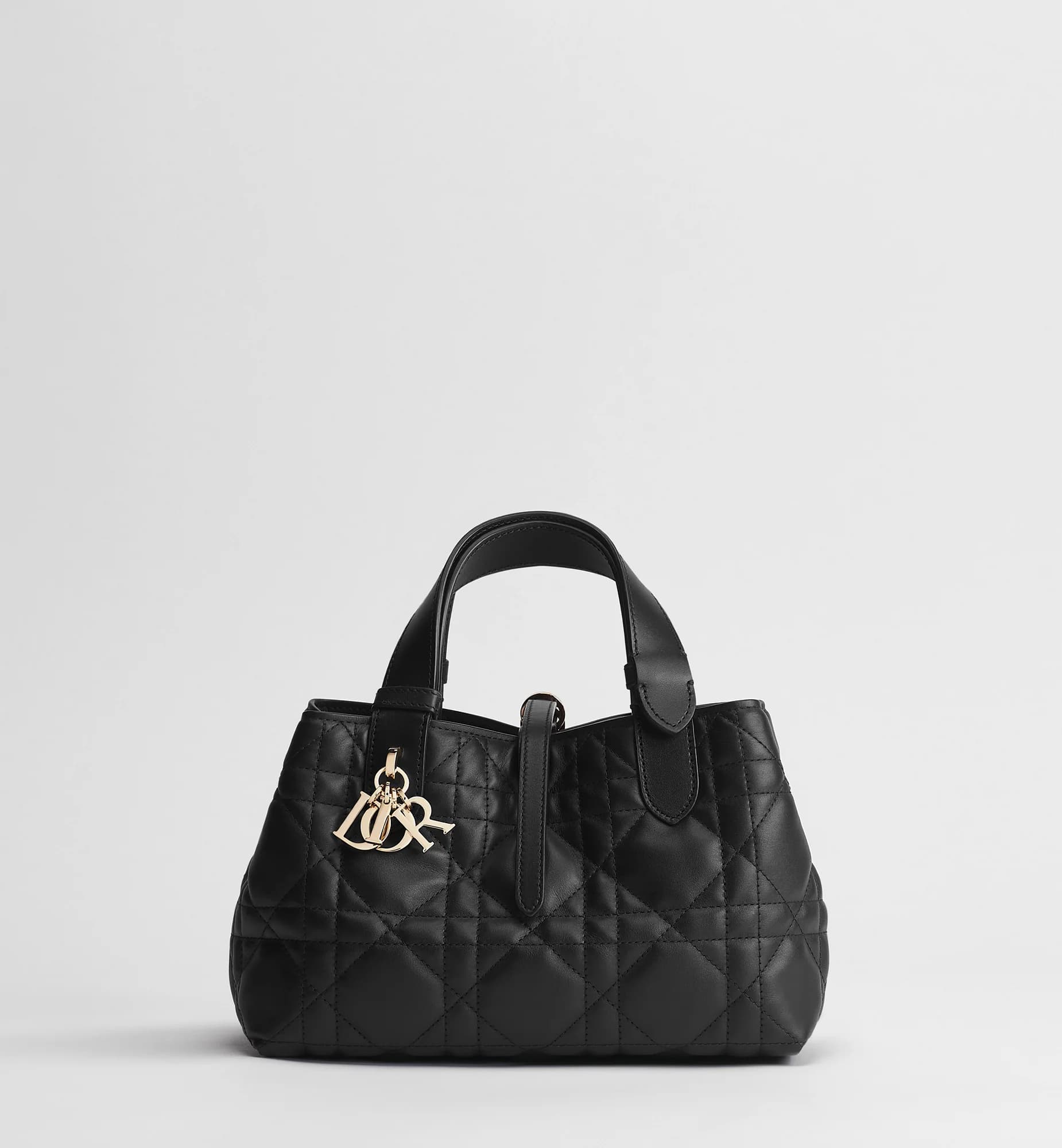 Sac Dior Toujours Small
