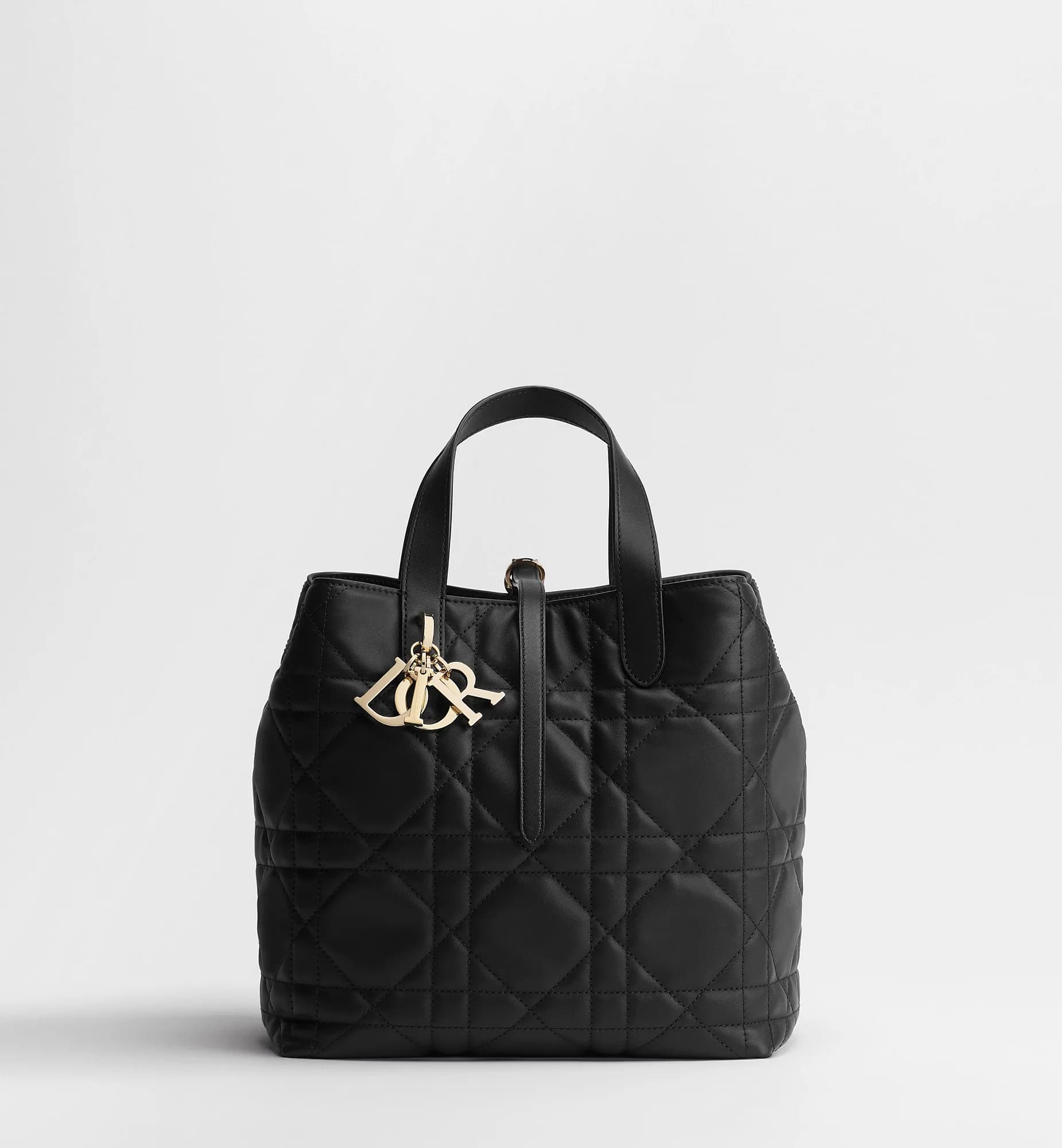 Sac cabas vertical Dior Toujours Medium