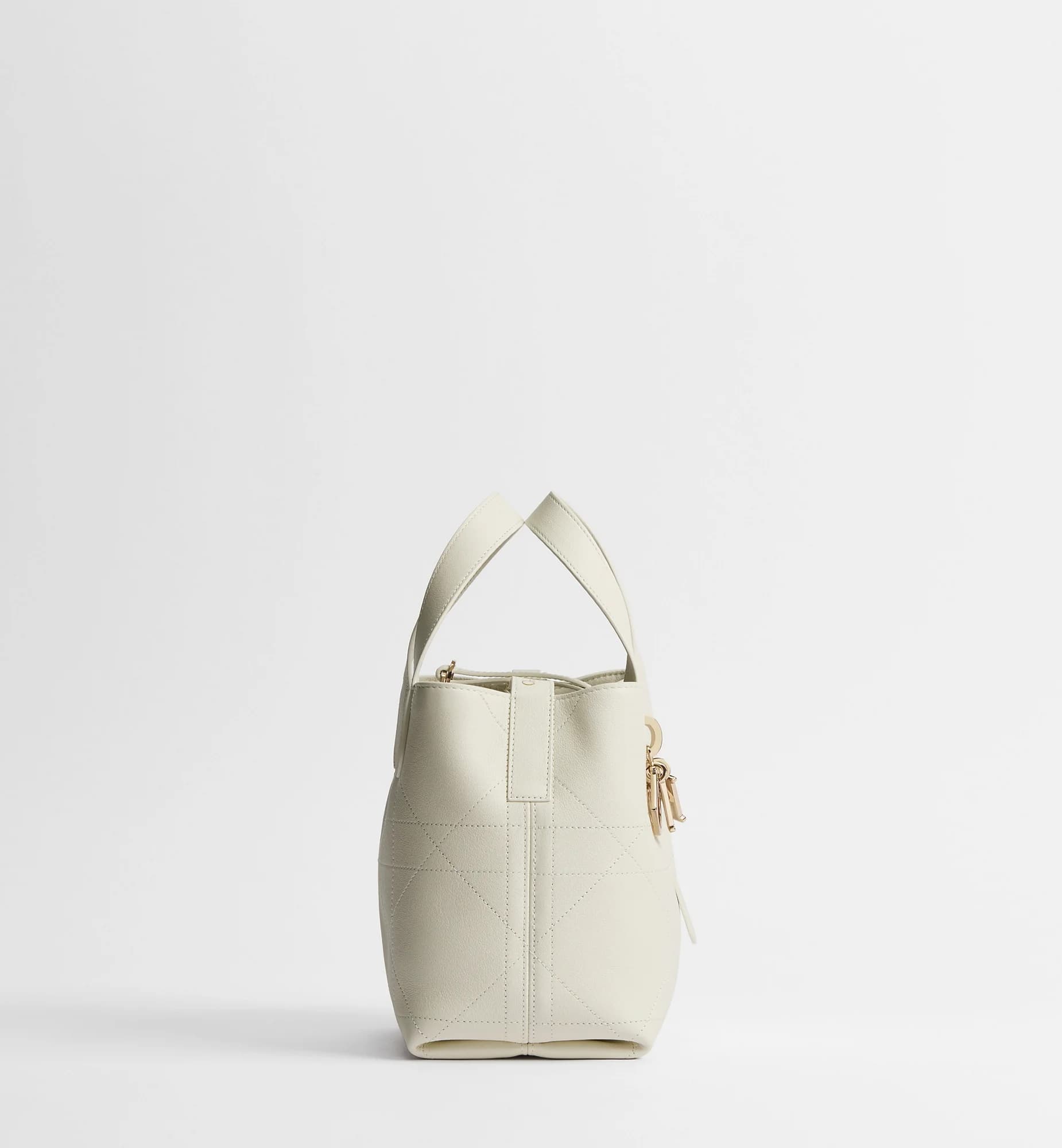Sac cabas vertical Dior Toujours Small