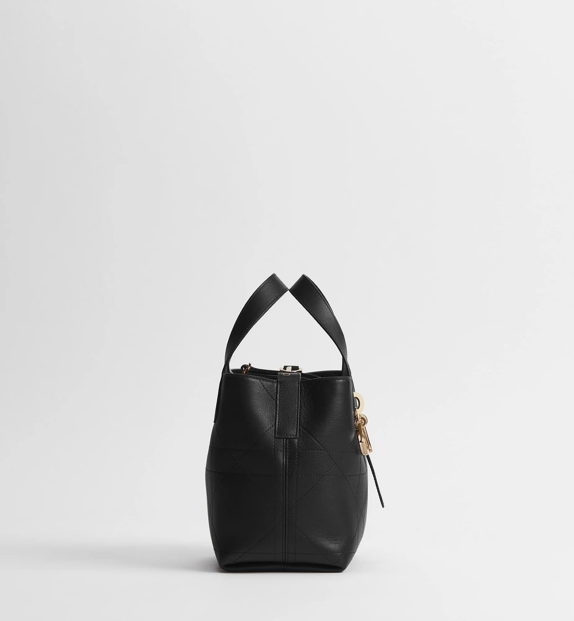 Sac cabas vertical Dior Toujours Small