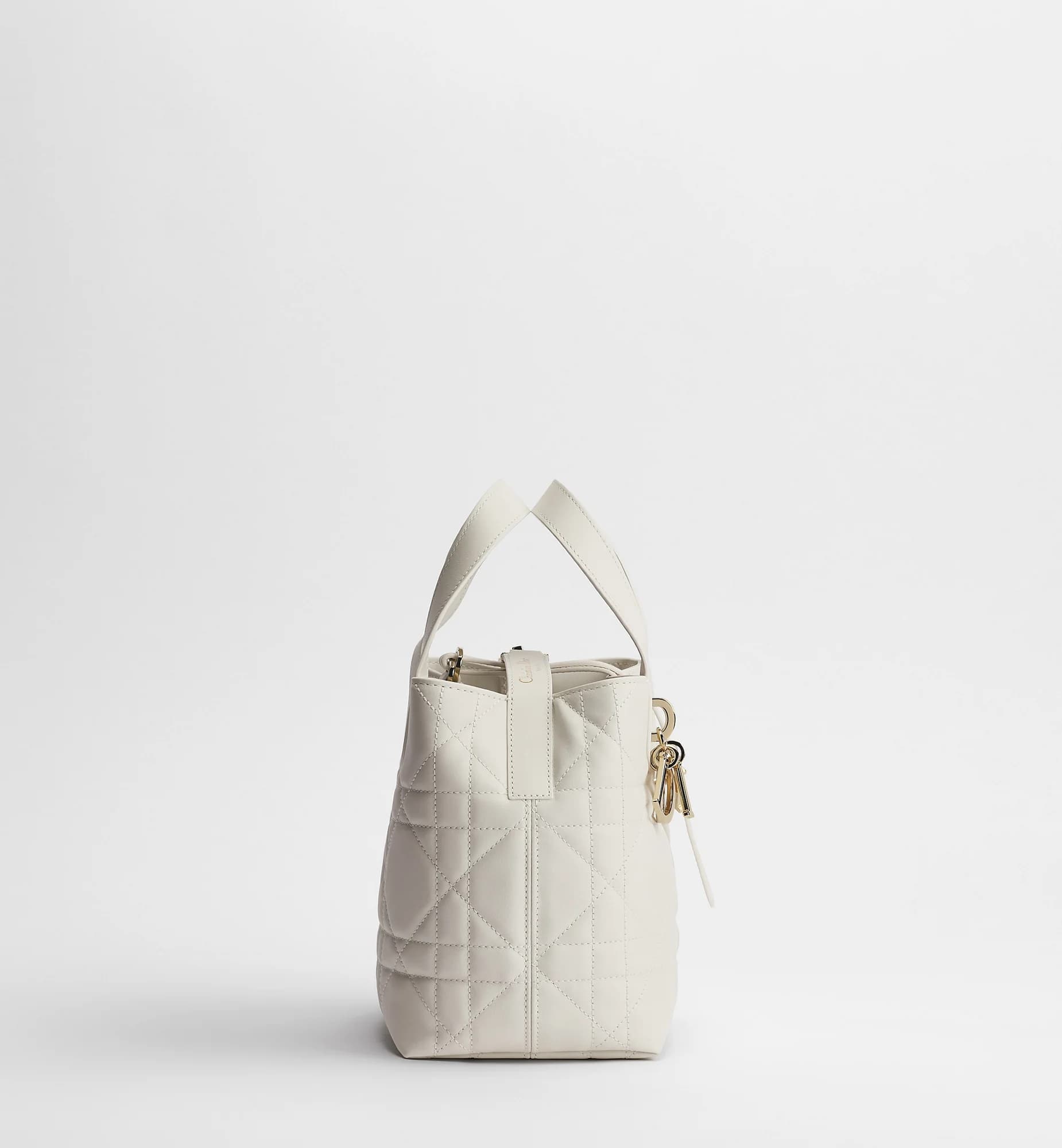 Sac cabas vertical Dior Toujours Small