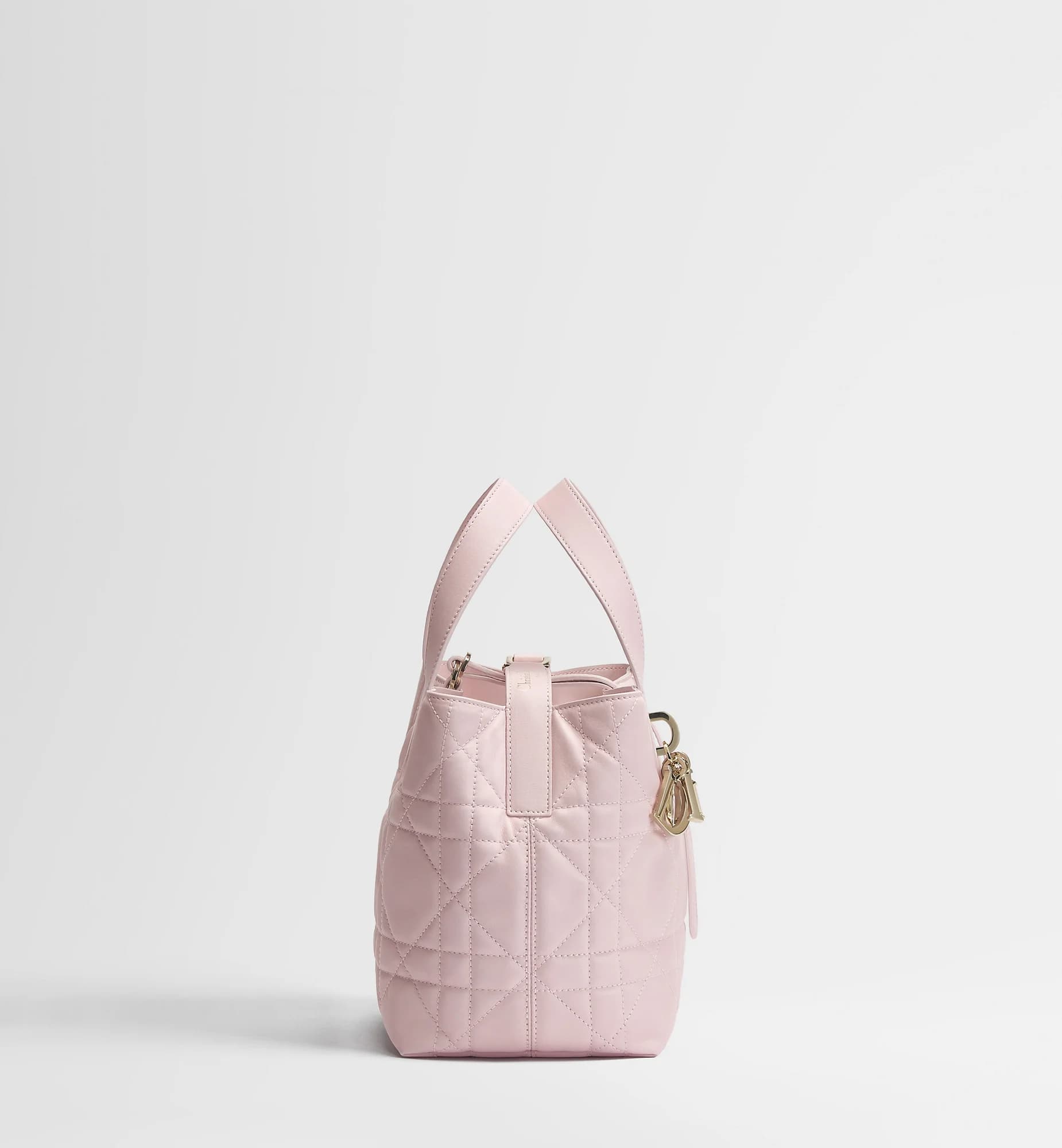 Sac cabas vertical Dior Toujours Small
