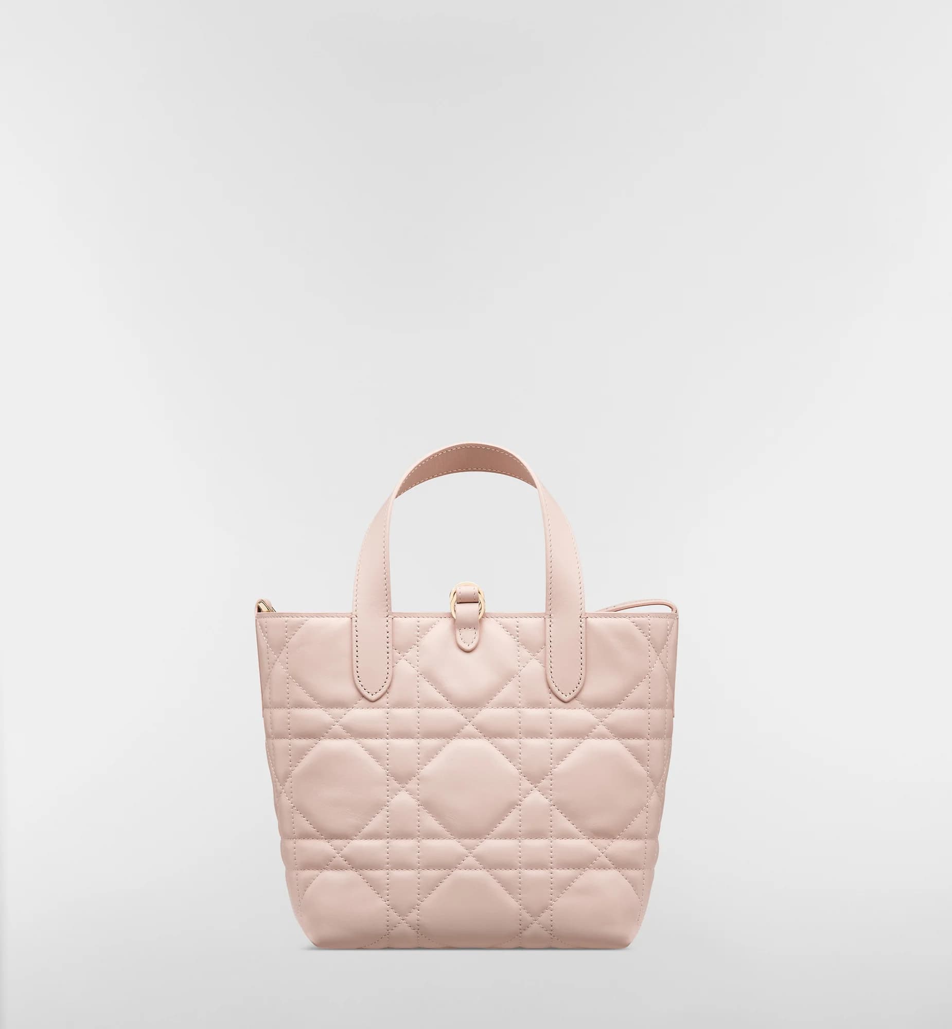 Sac cabas vertical Dior Toujours Small