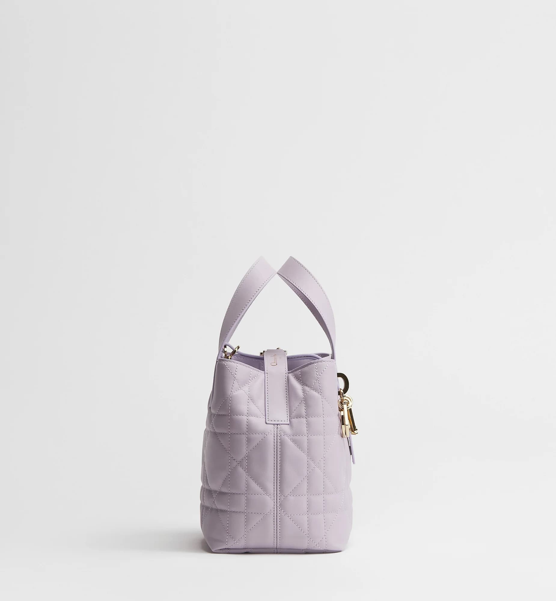 Sac cabas vertical Dior Toujours Small