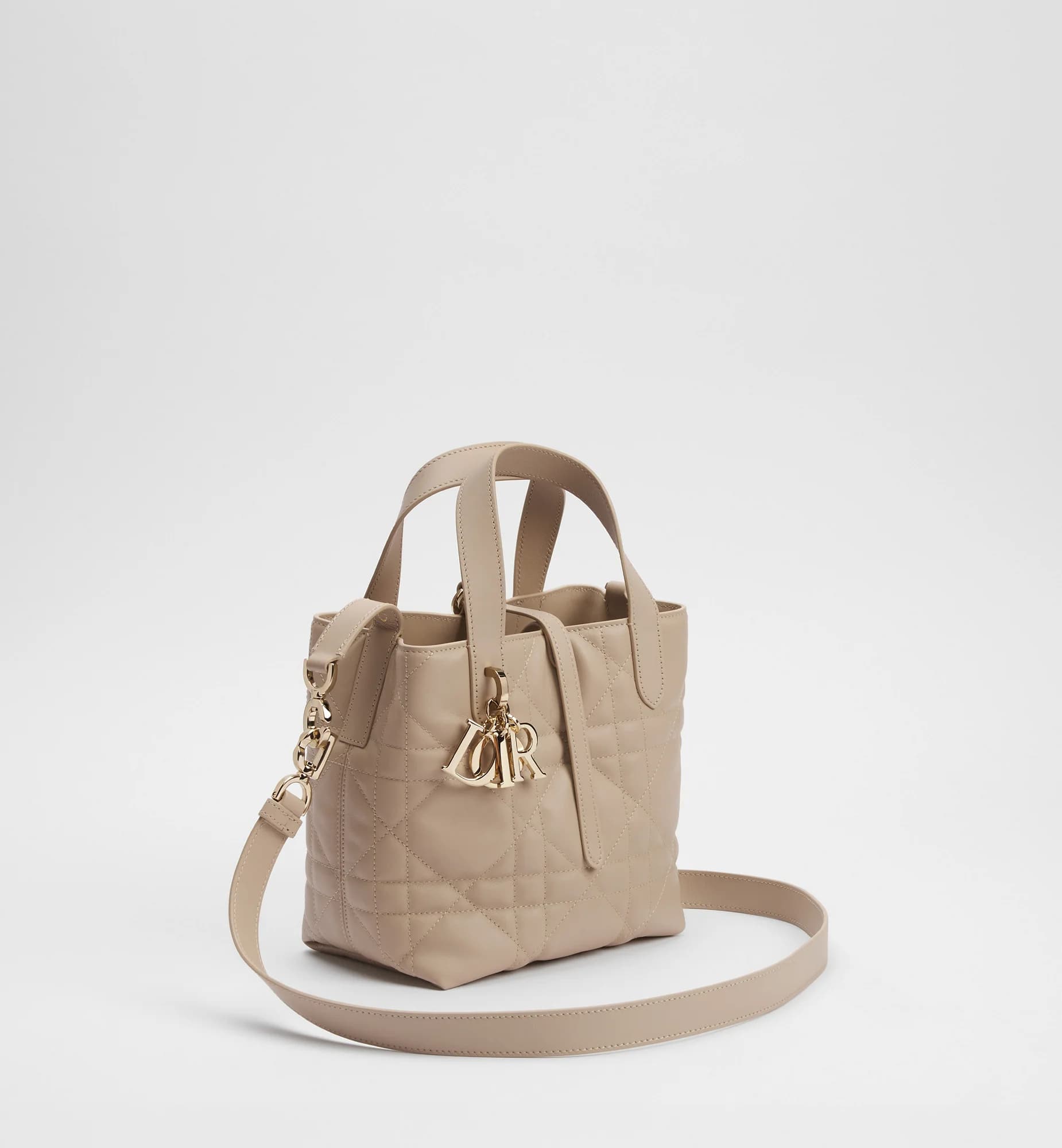 Sac cabas vertical Dior Toujours Small