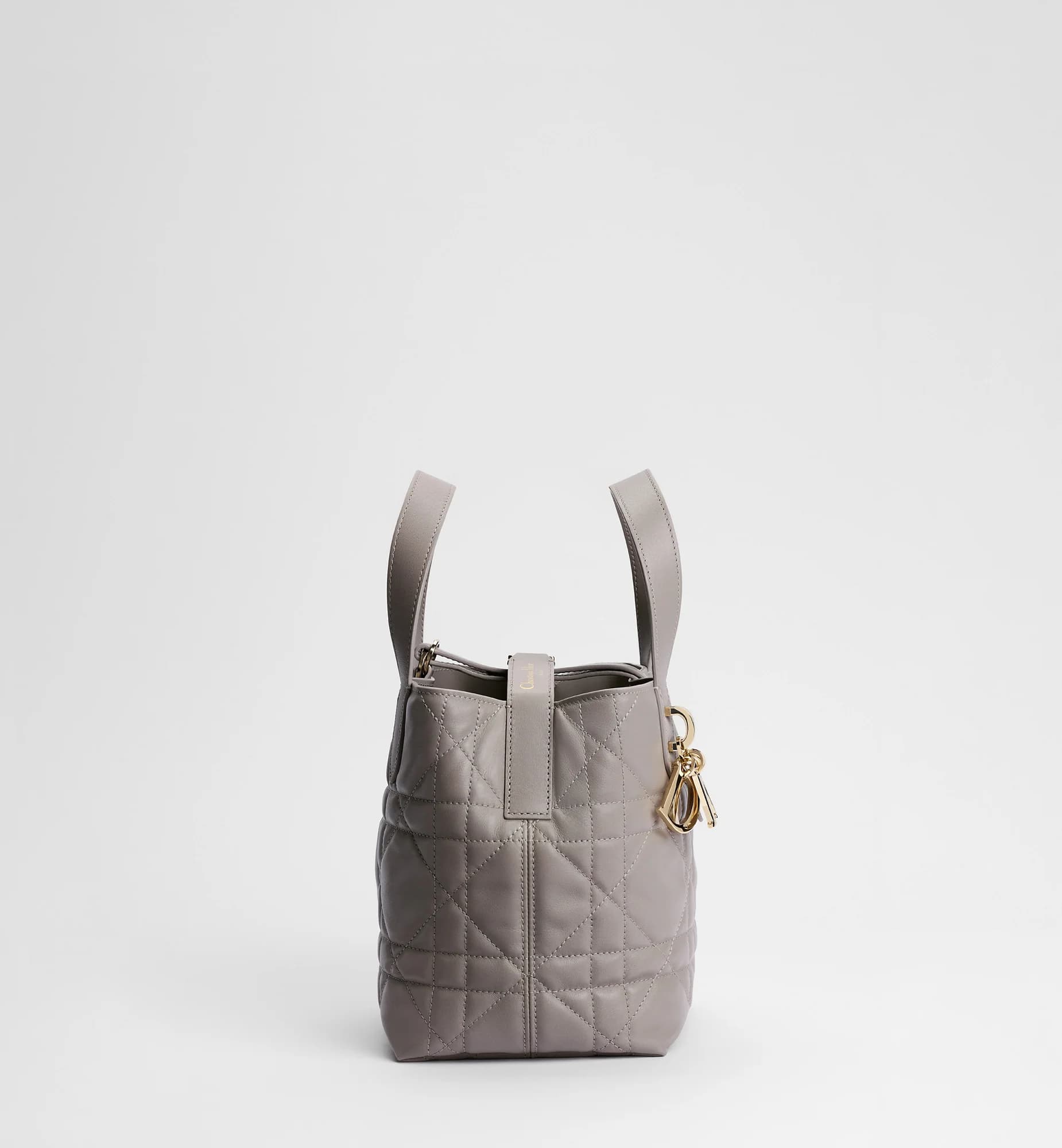 Sac cabas vertical Dior Toujours Small