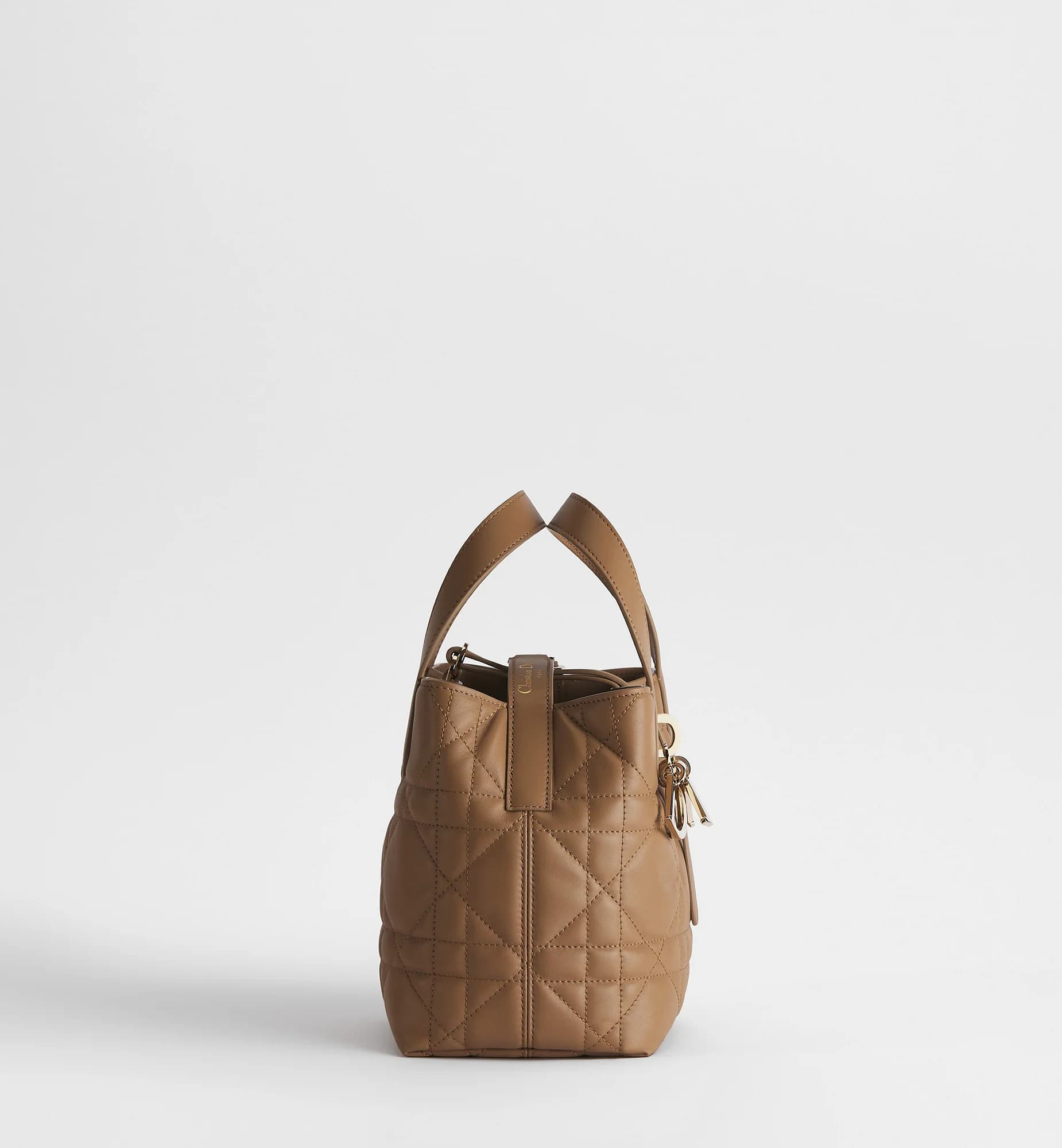 Sac cabas vertical Dior Toujours Small