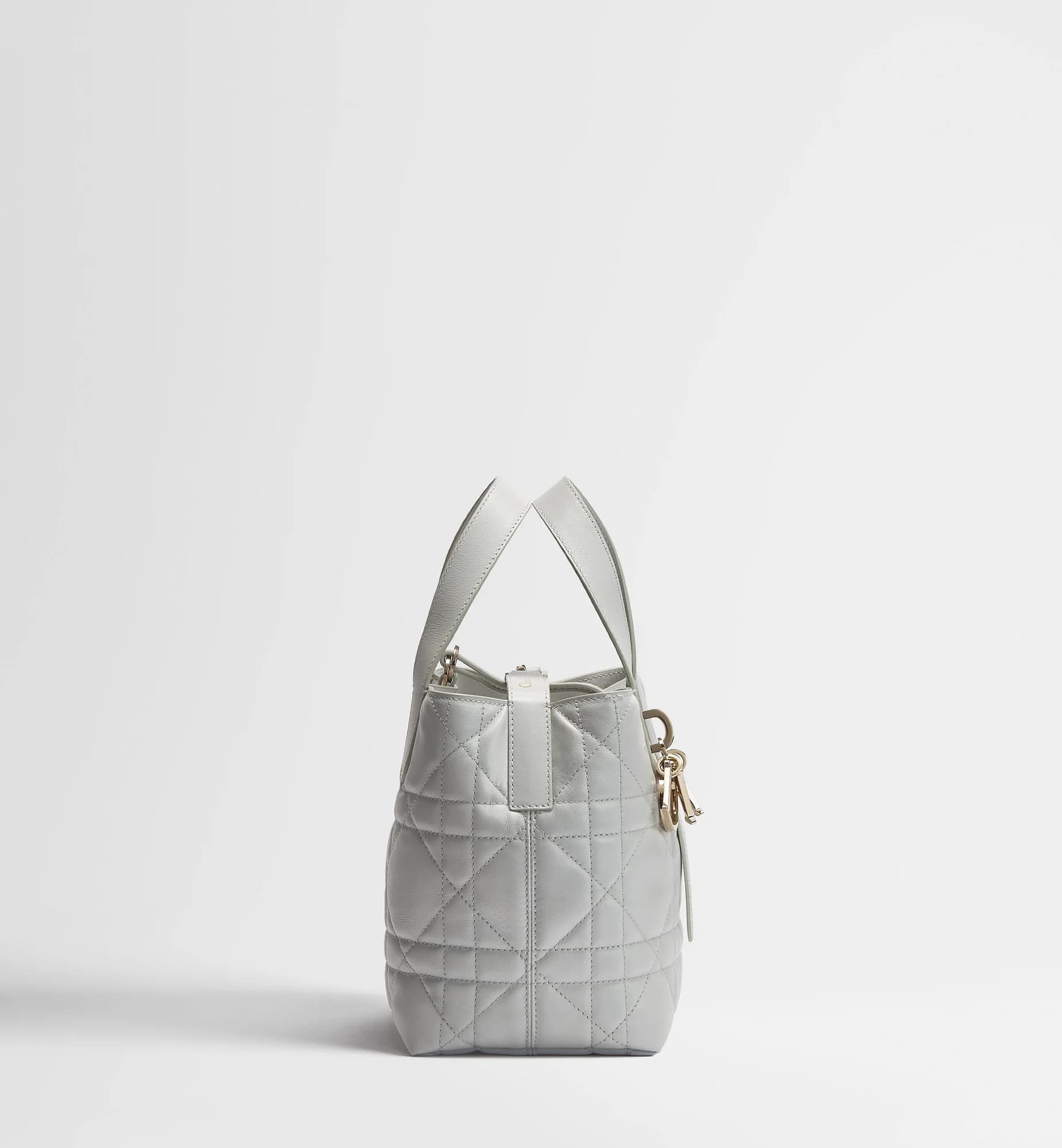 Sac cabas vertical Dior Toujours Small