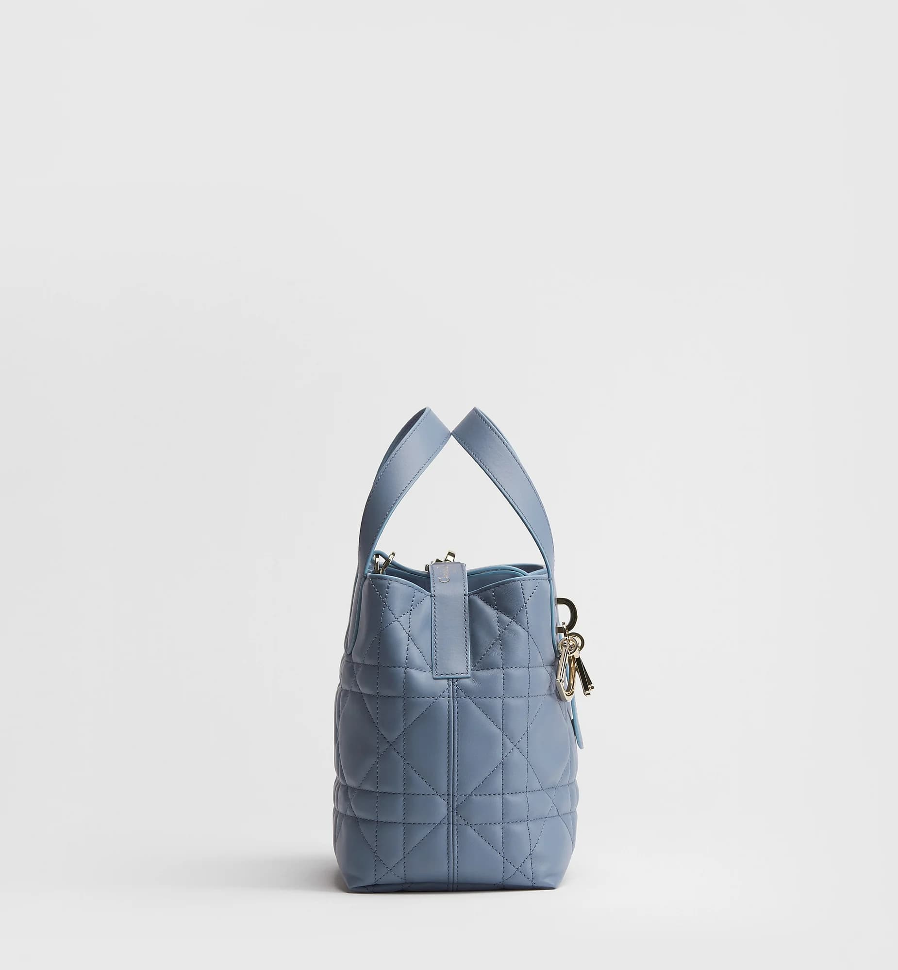 Sac cabas vertical Dior Toujours Small