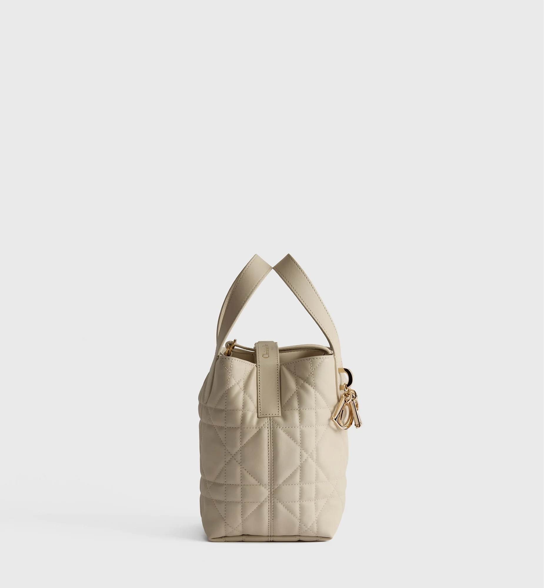 Sac cabas vertical Dior Toujours Small