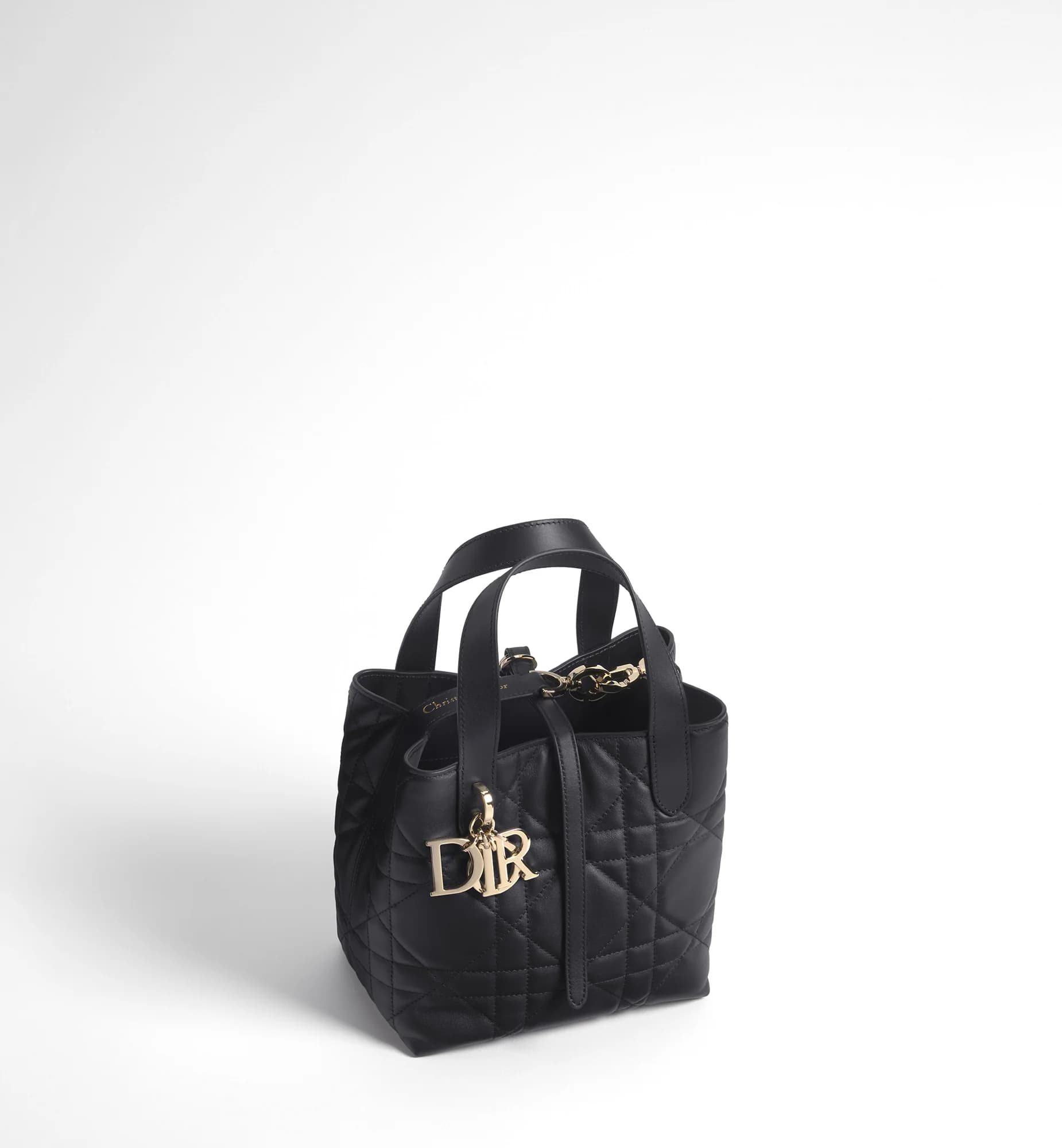 Sac cabas vertical Dior Toujours Small