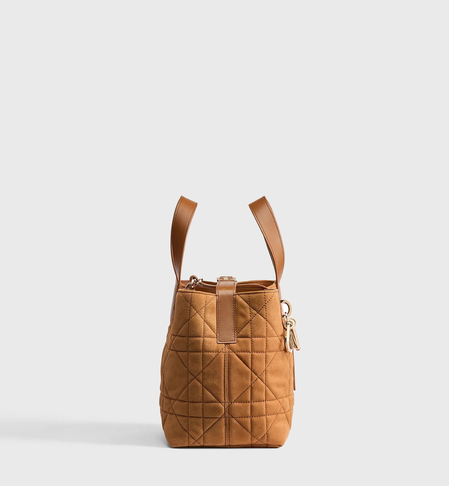 Sac cabas vertical Dior Toujours Small