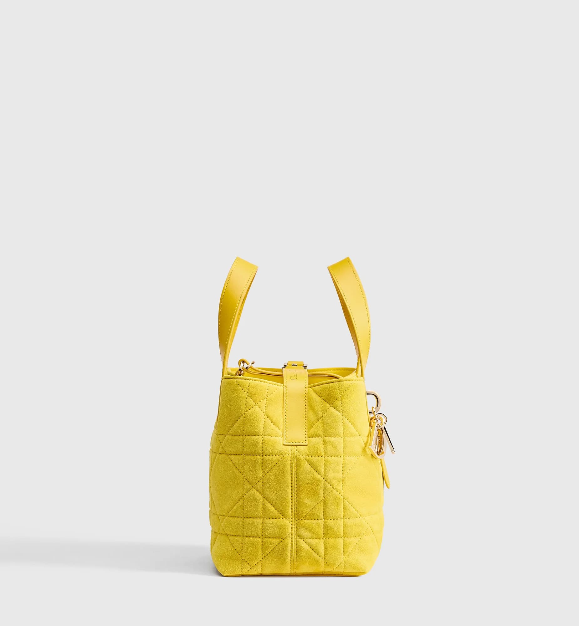 Sac cabas vertical Dior Toujours Small