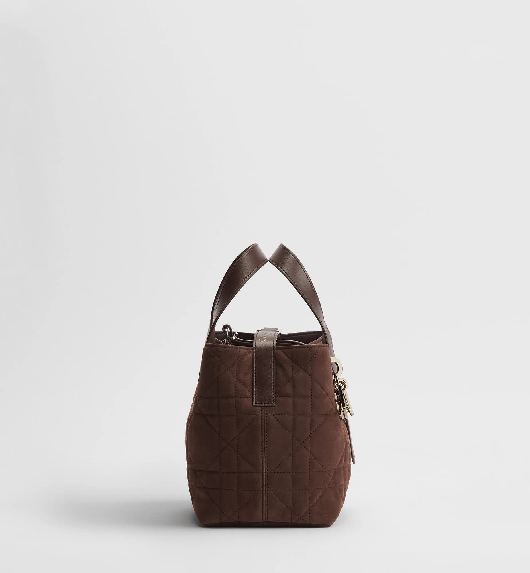 Sac cabas vertical Dior Toujours Small