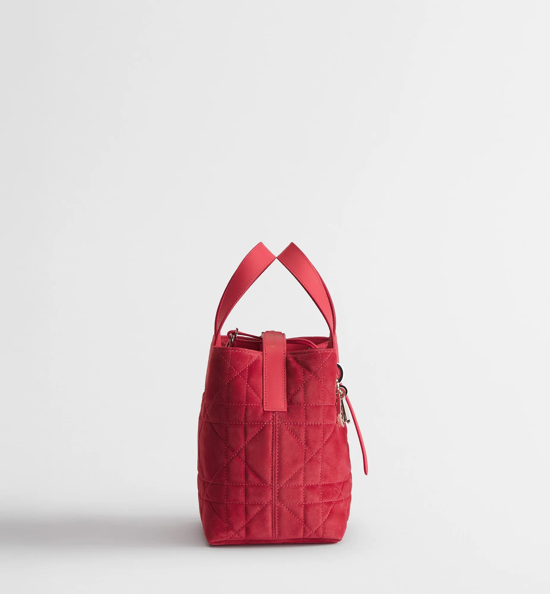 Sac cabas vertical Dior Toujours Small