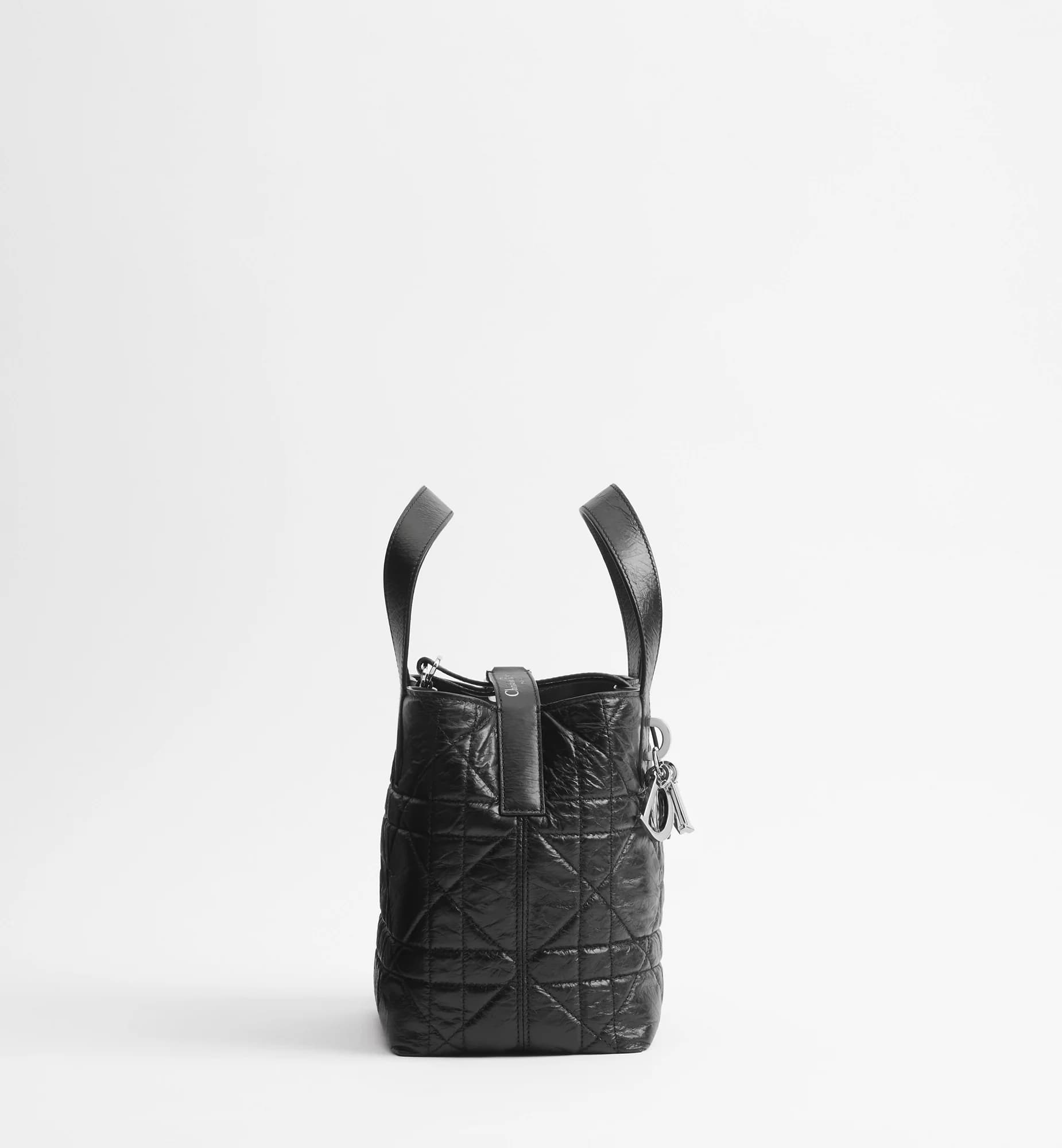 Sac cabas vertical Dior Toujours Small