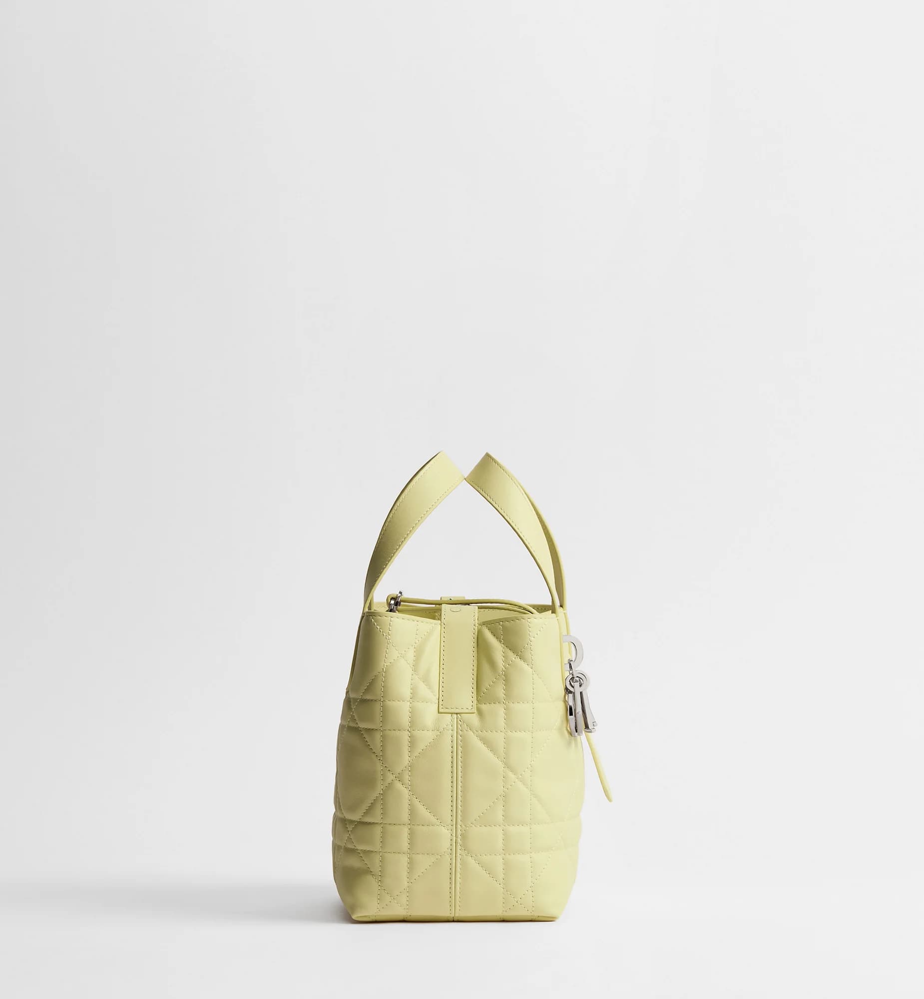 Sac cabas vertical Dior Toujours Small