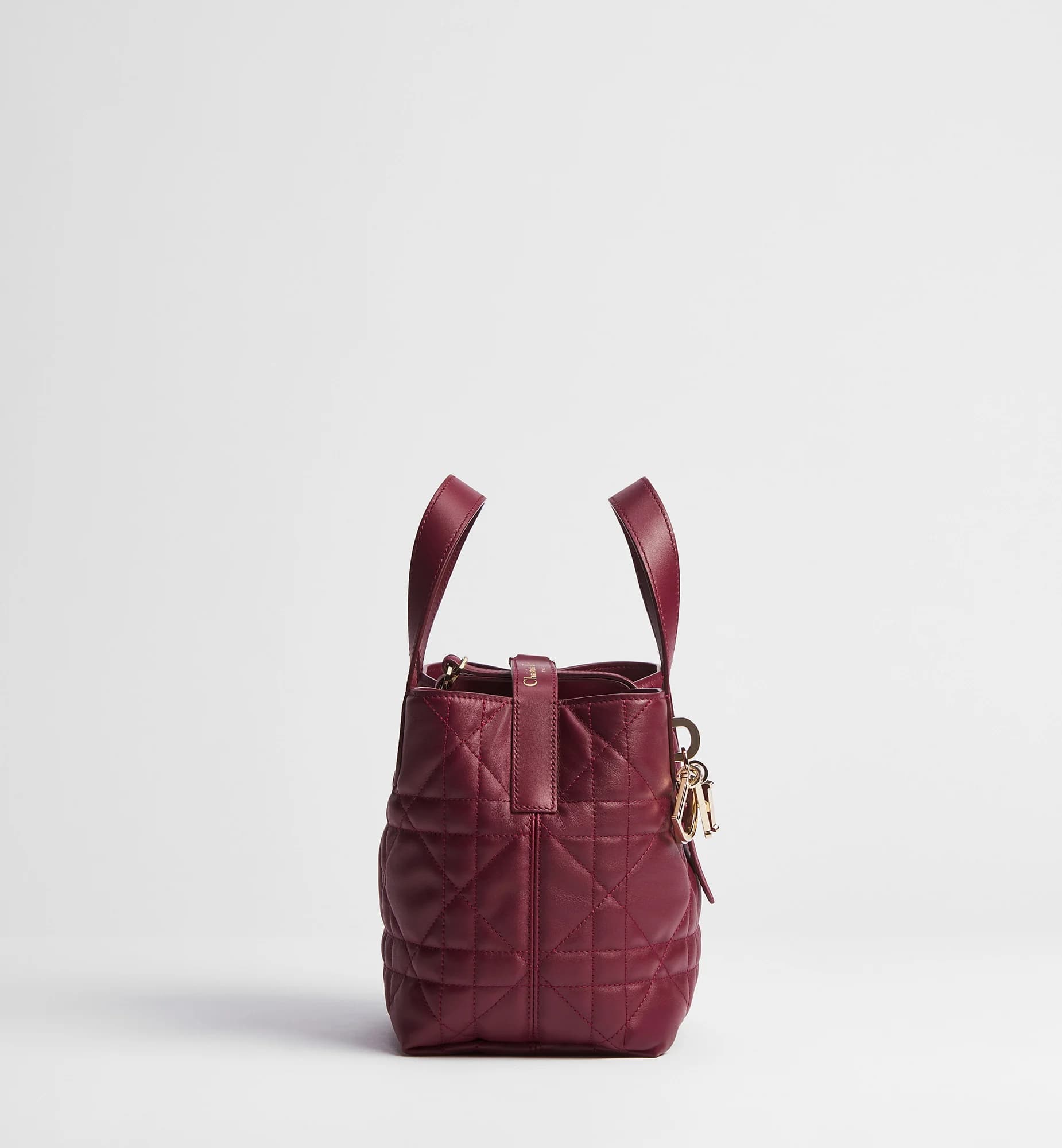 Sac cabas vertical Dior Toujours Small Dior Or