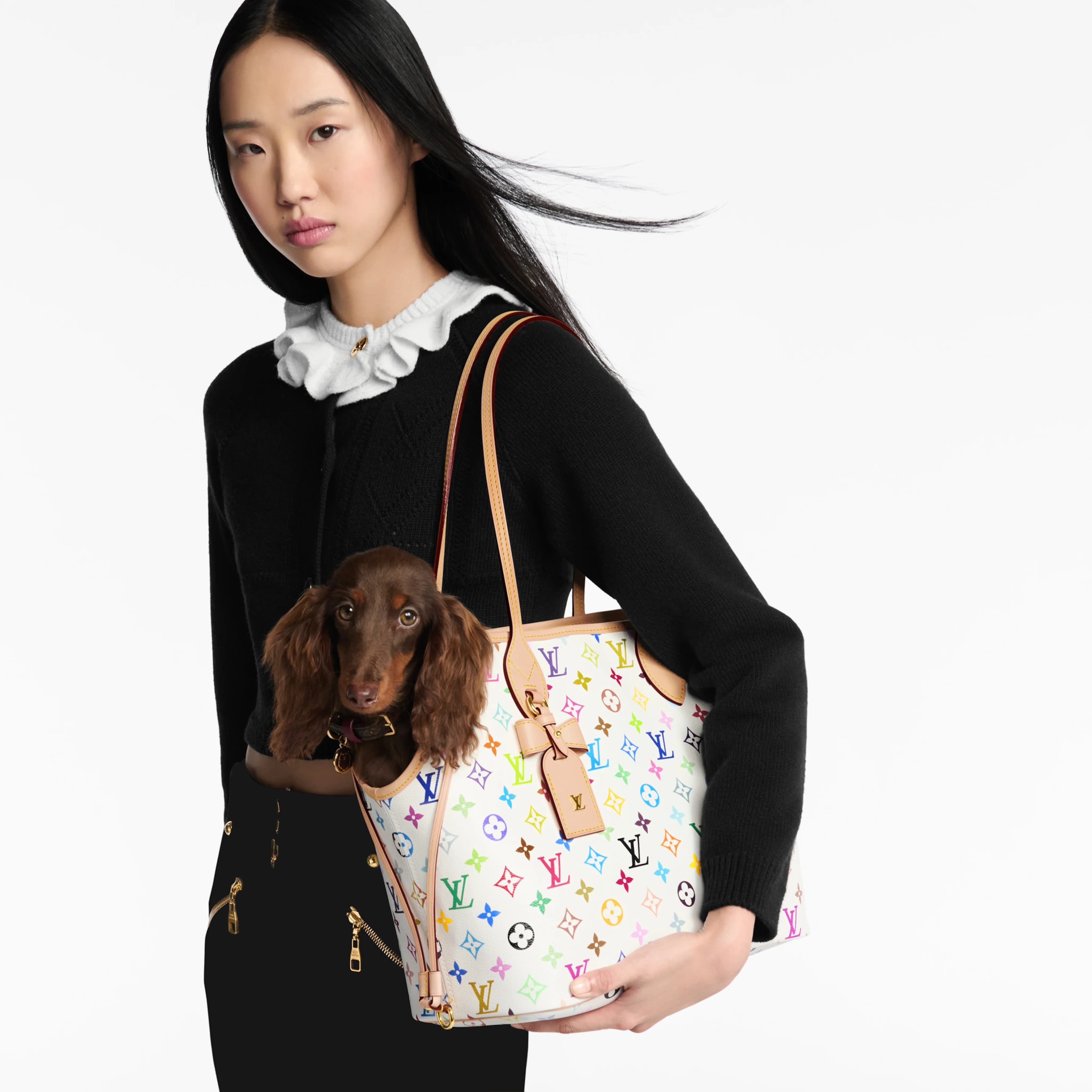 LV x TM - Sac Neverwoof MM